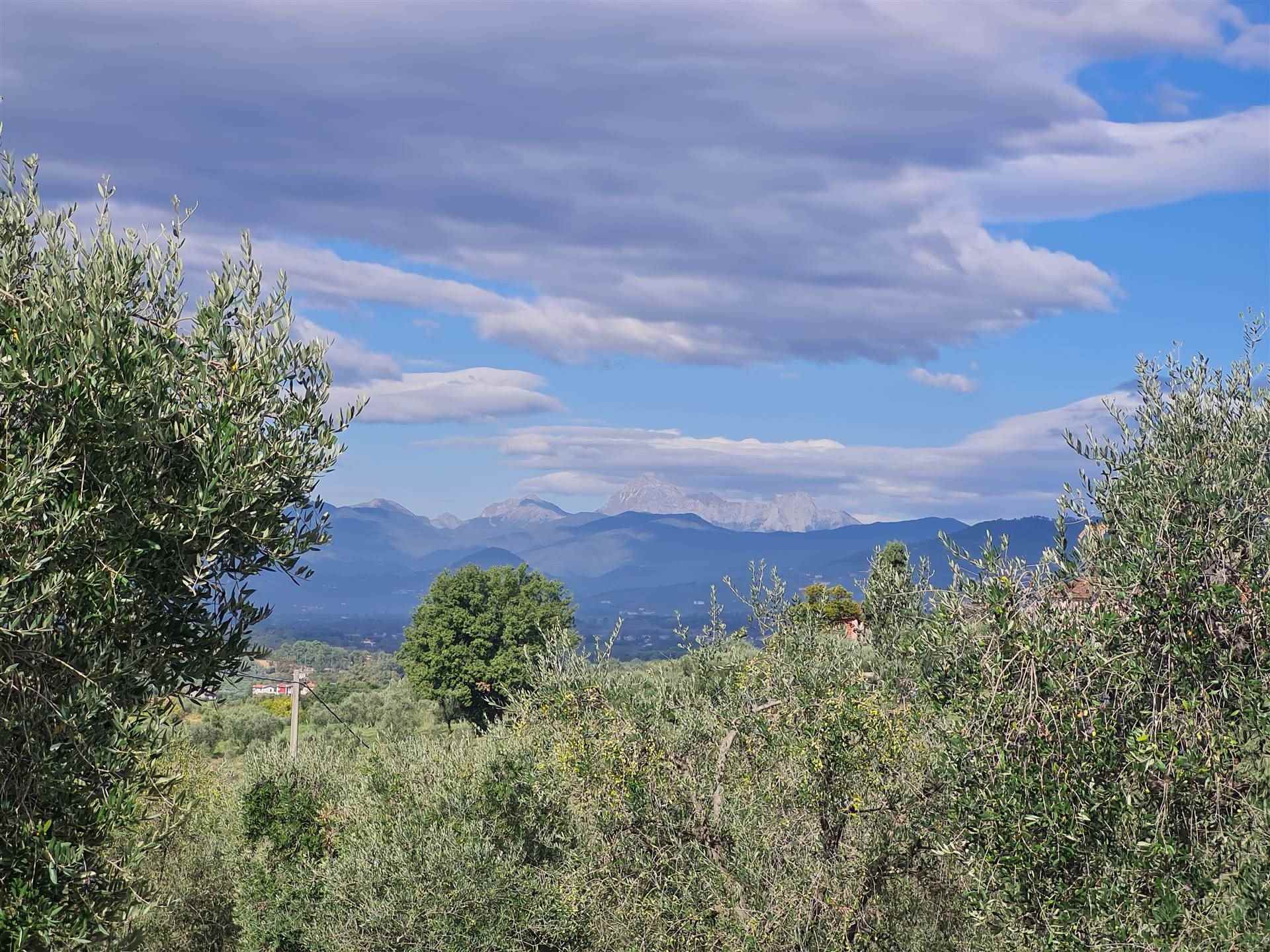 property_image