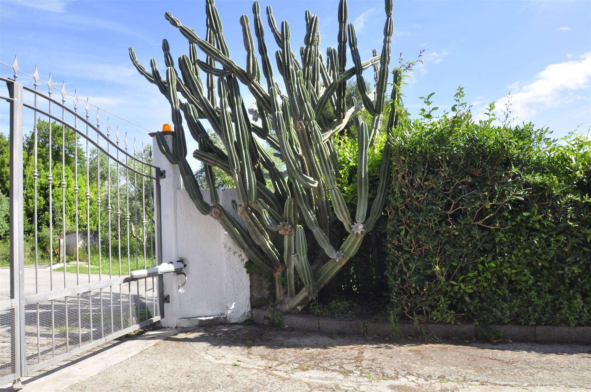 property_image
