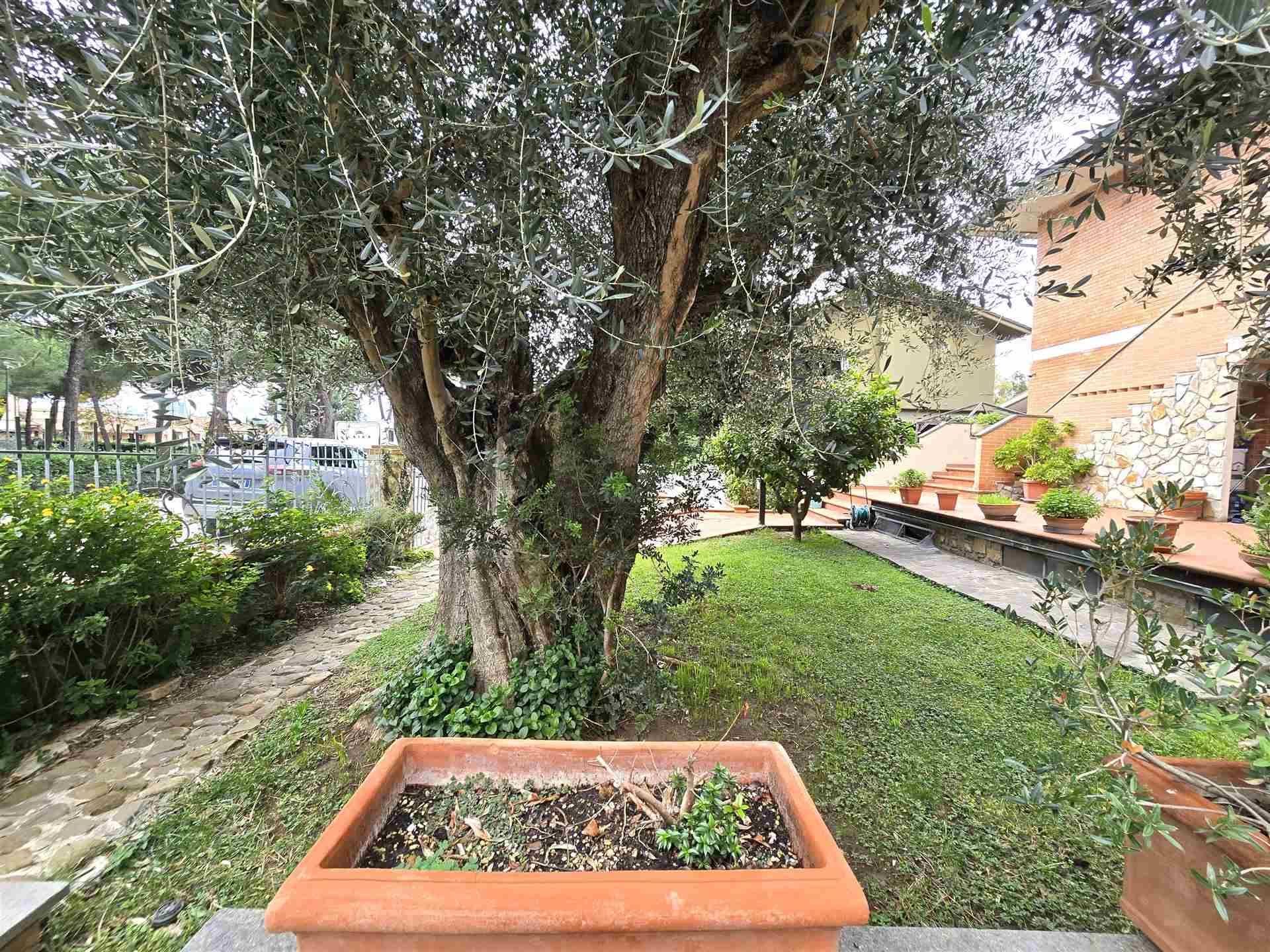 property_image