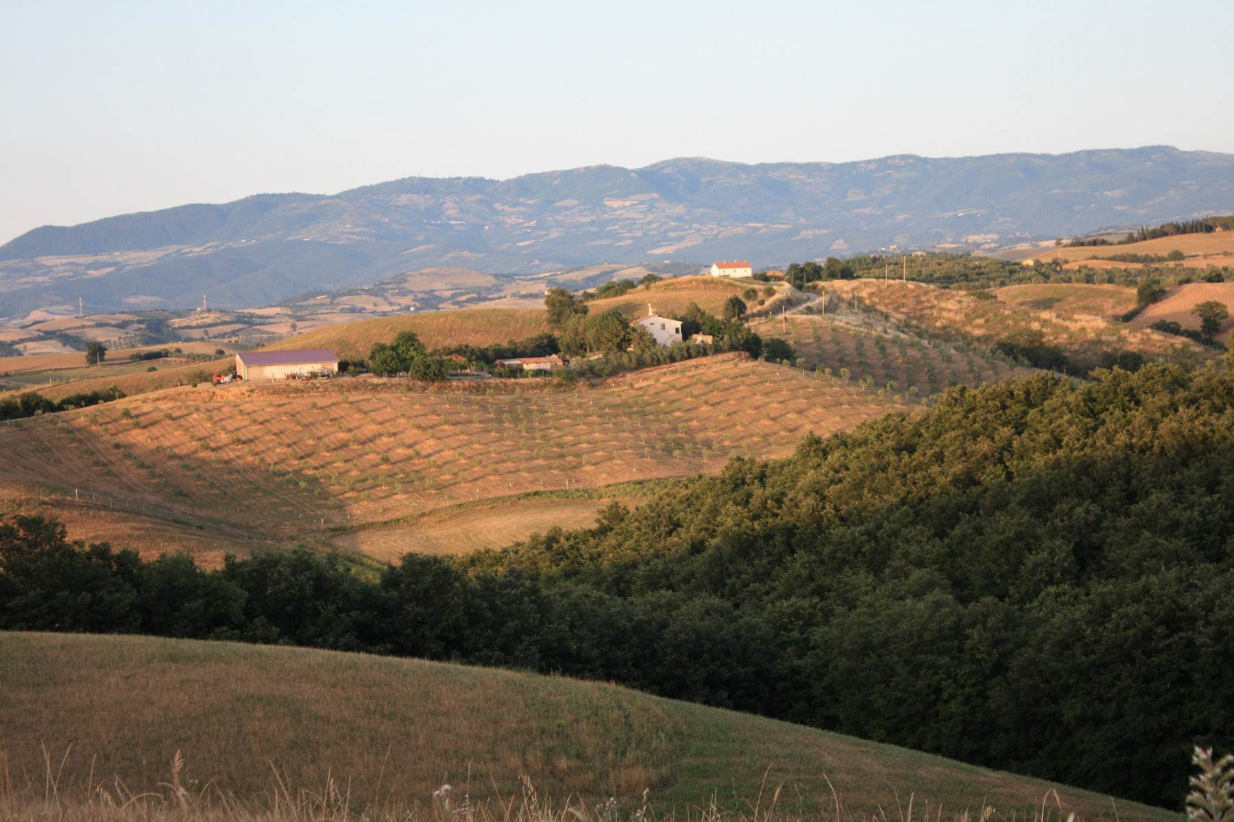 property_image