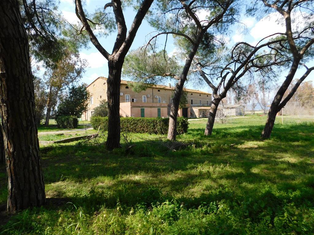 property_image