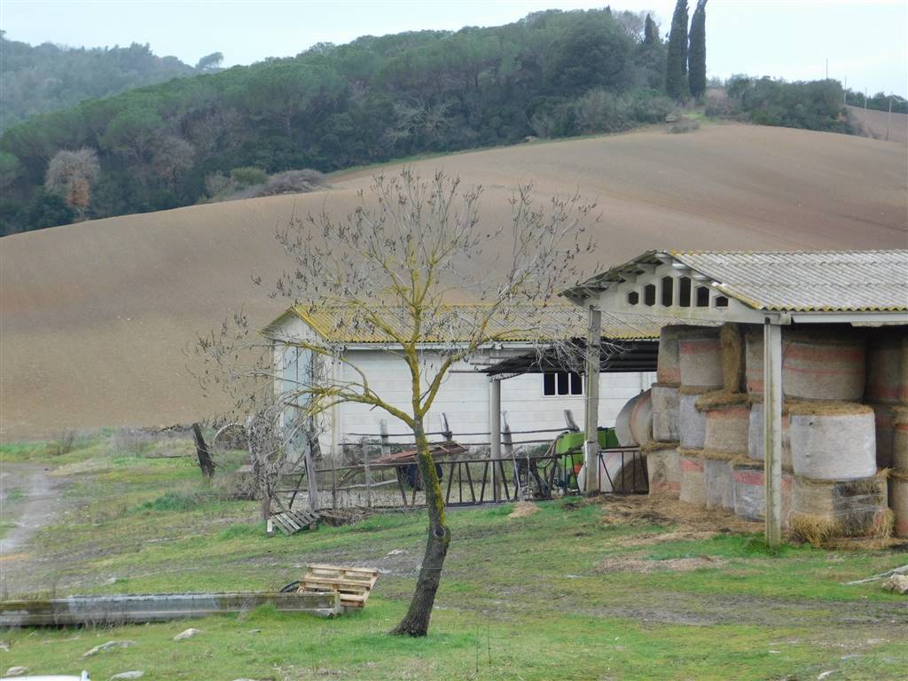 property_image