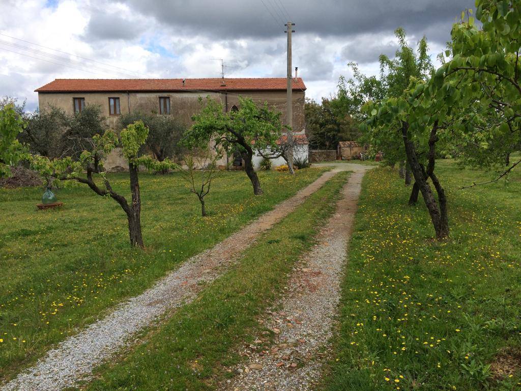 Qlistings - 2 Bedrooms - Farmhouse - Toscana - For Sale - A7631TA1681058A Property Image