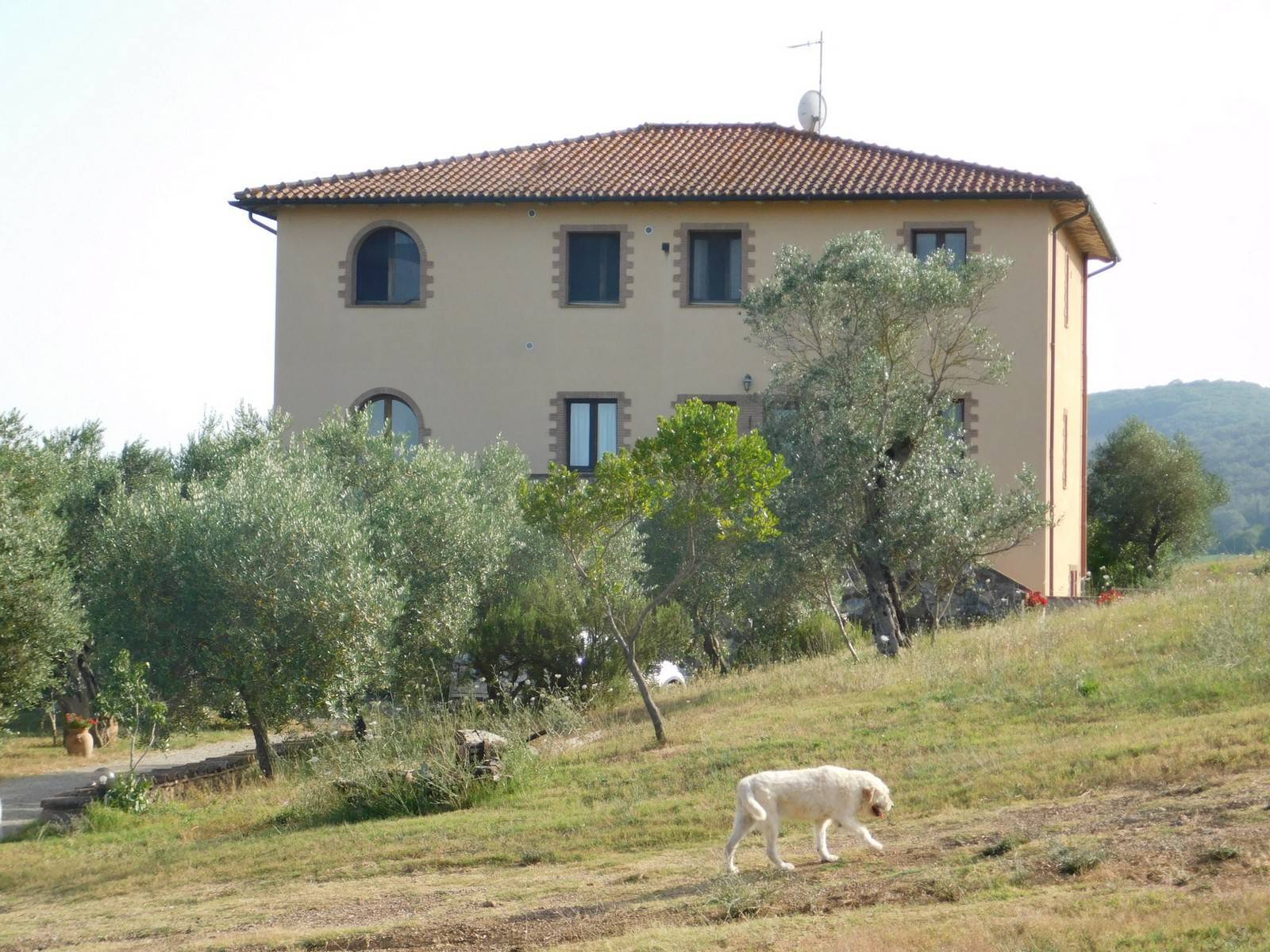 property_image
