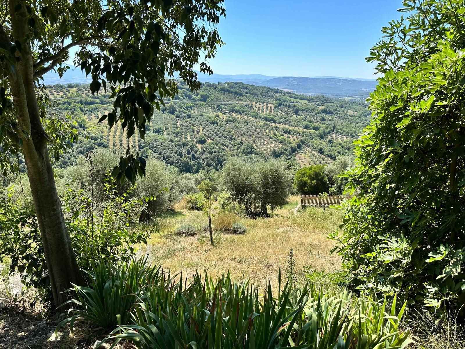 property_image