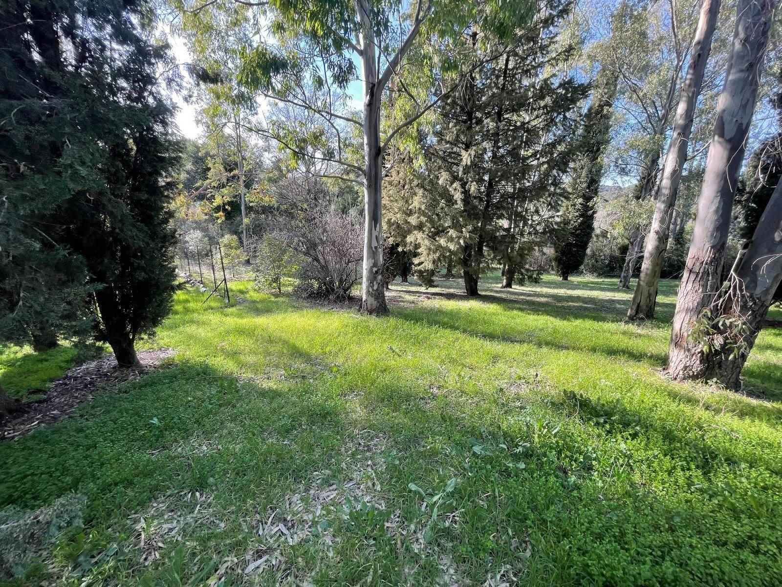 property_image