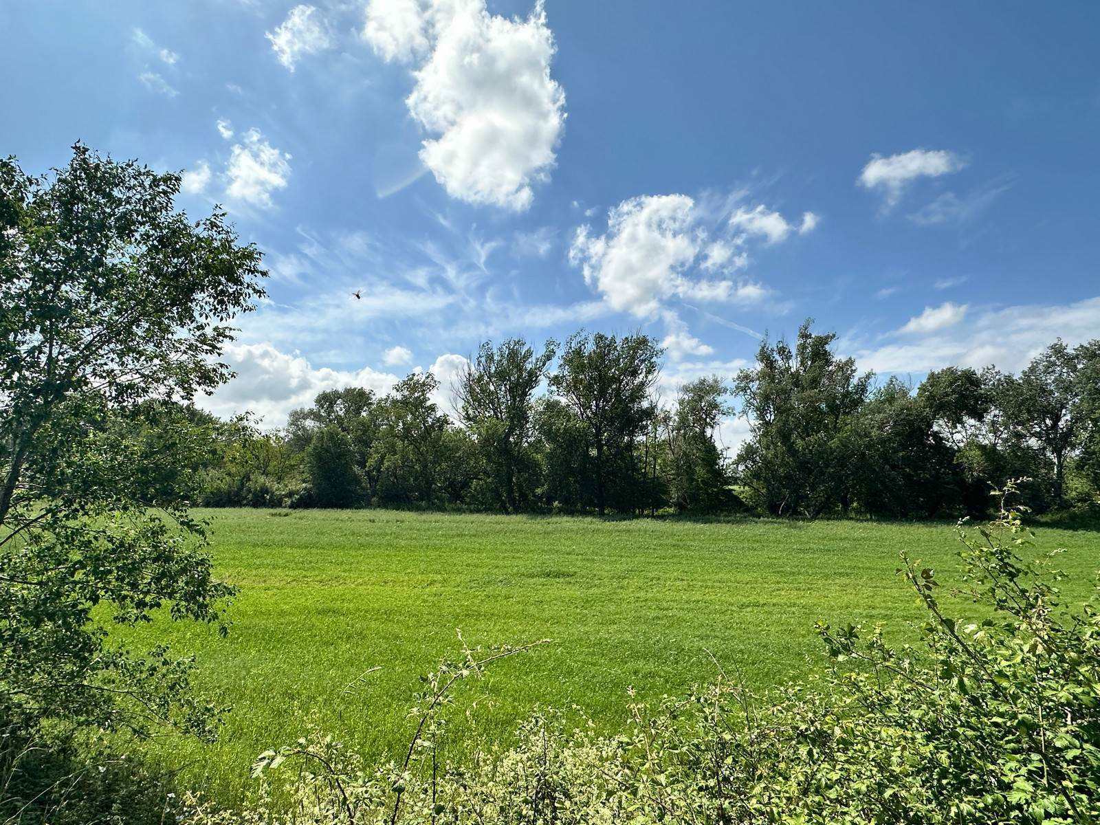 property_image