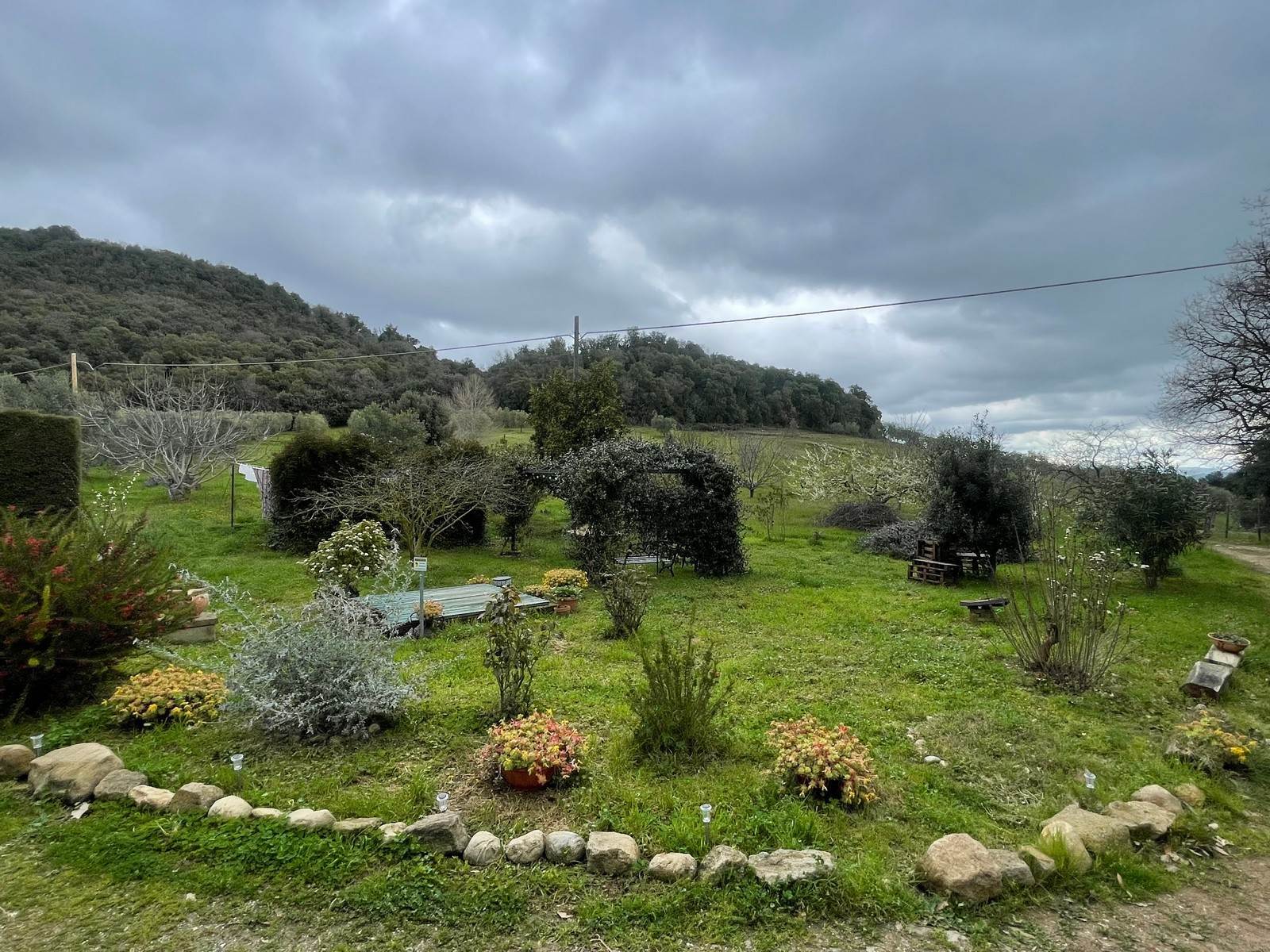 property_image