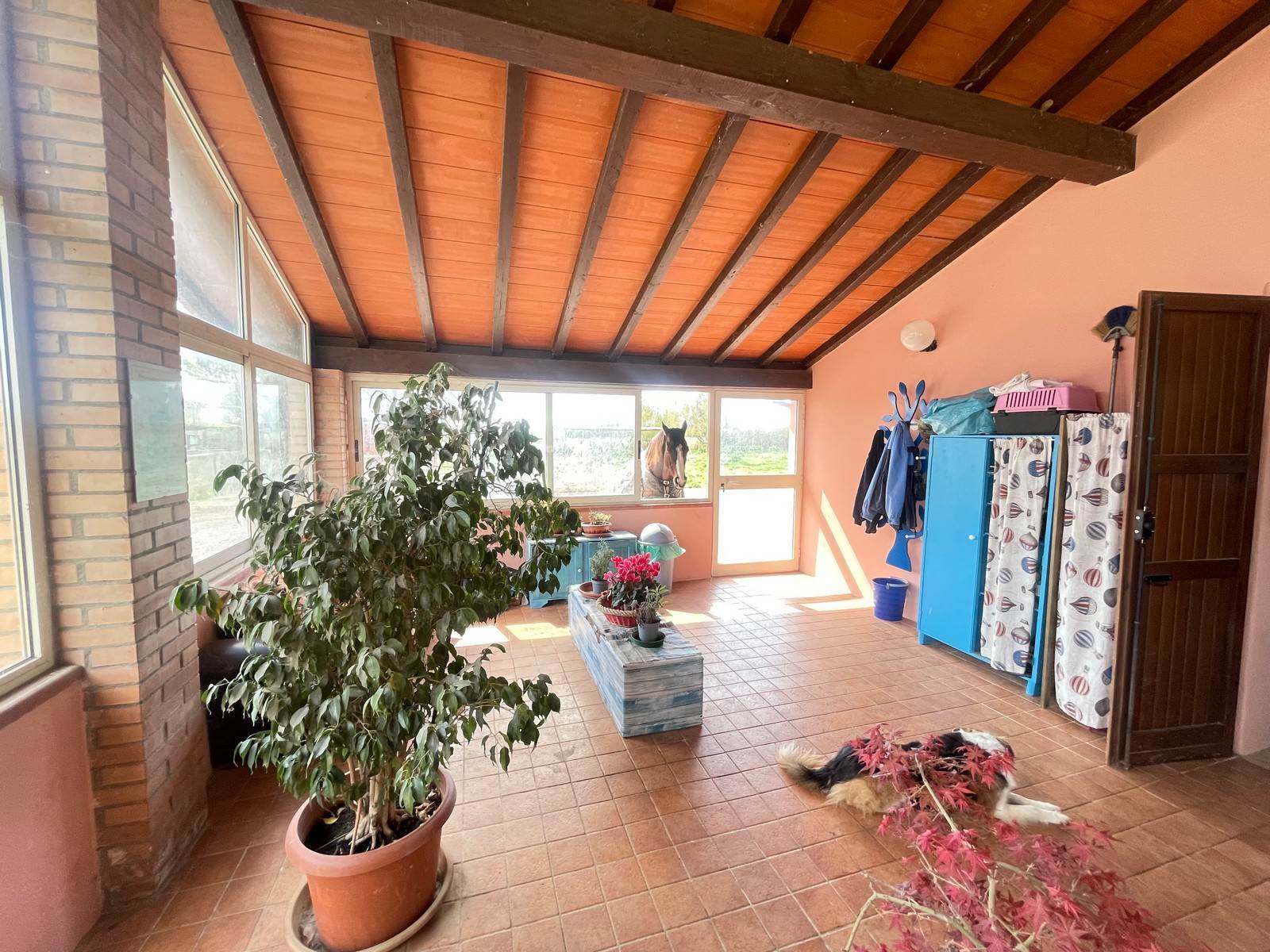 property_image