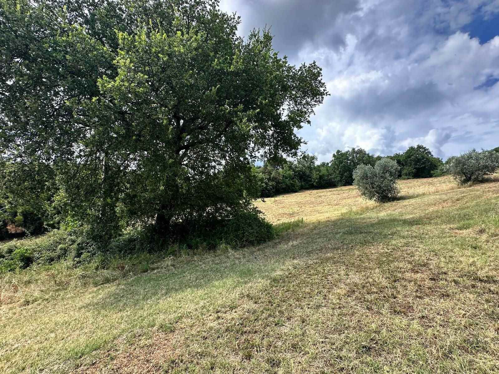 property_image