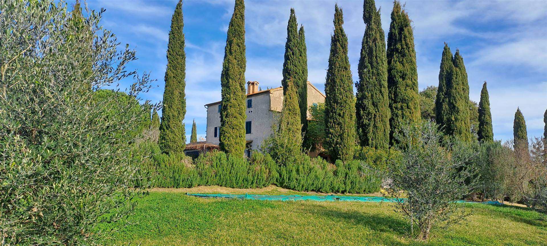 5 Bedrooms - Farmhouse - Tuscany - For Sale -...