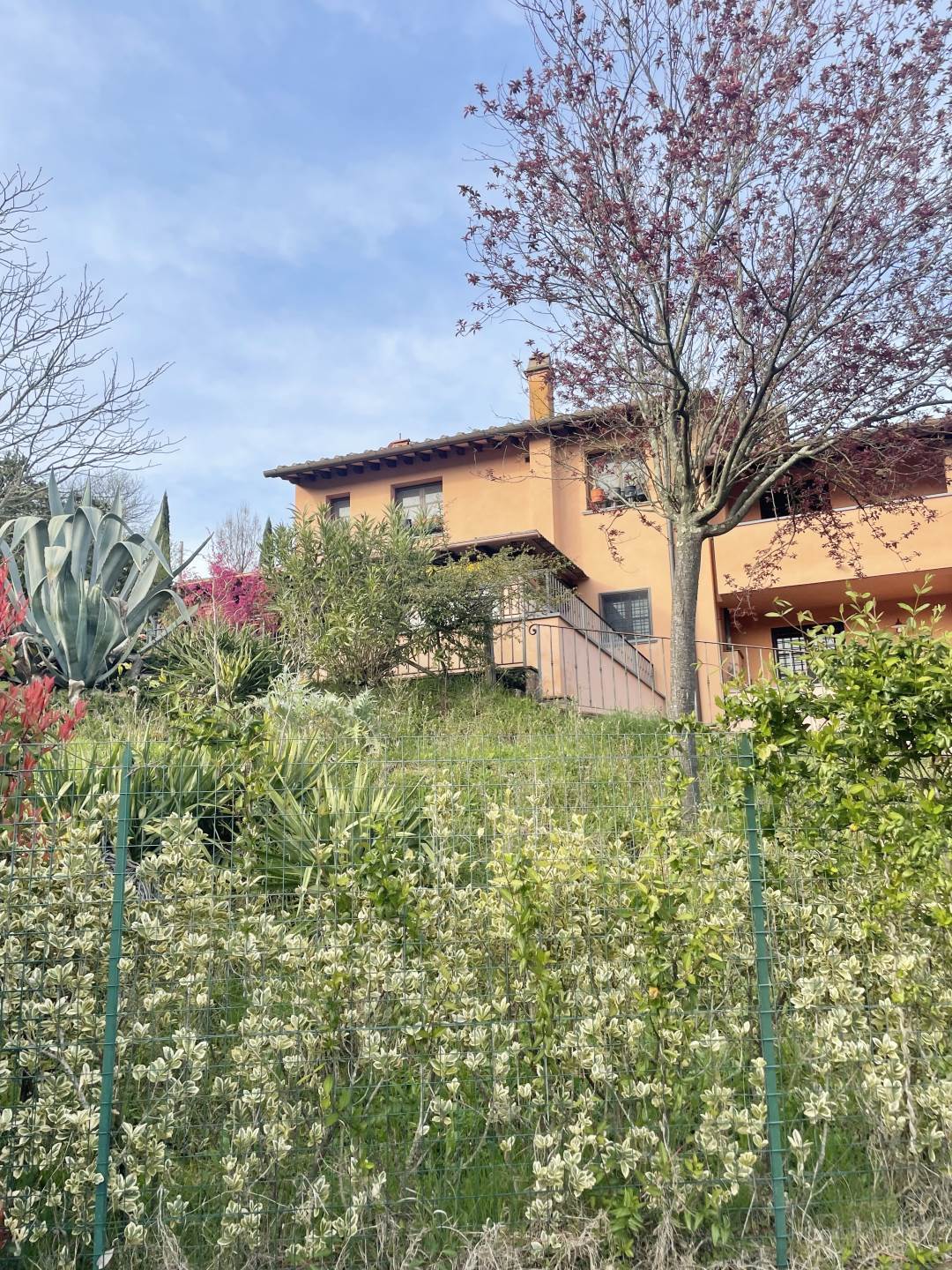 property_image