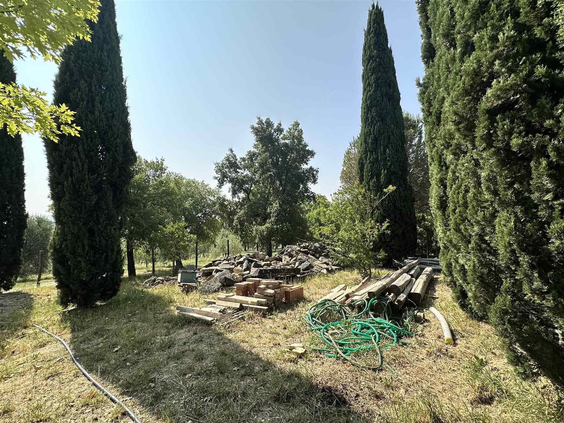 property_image