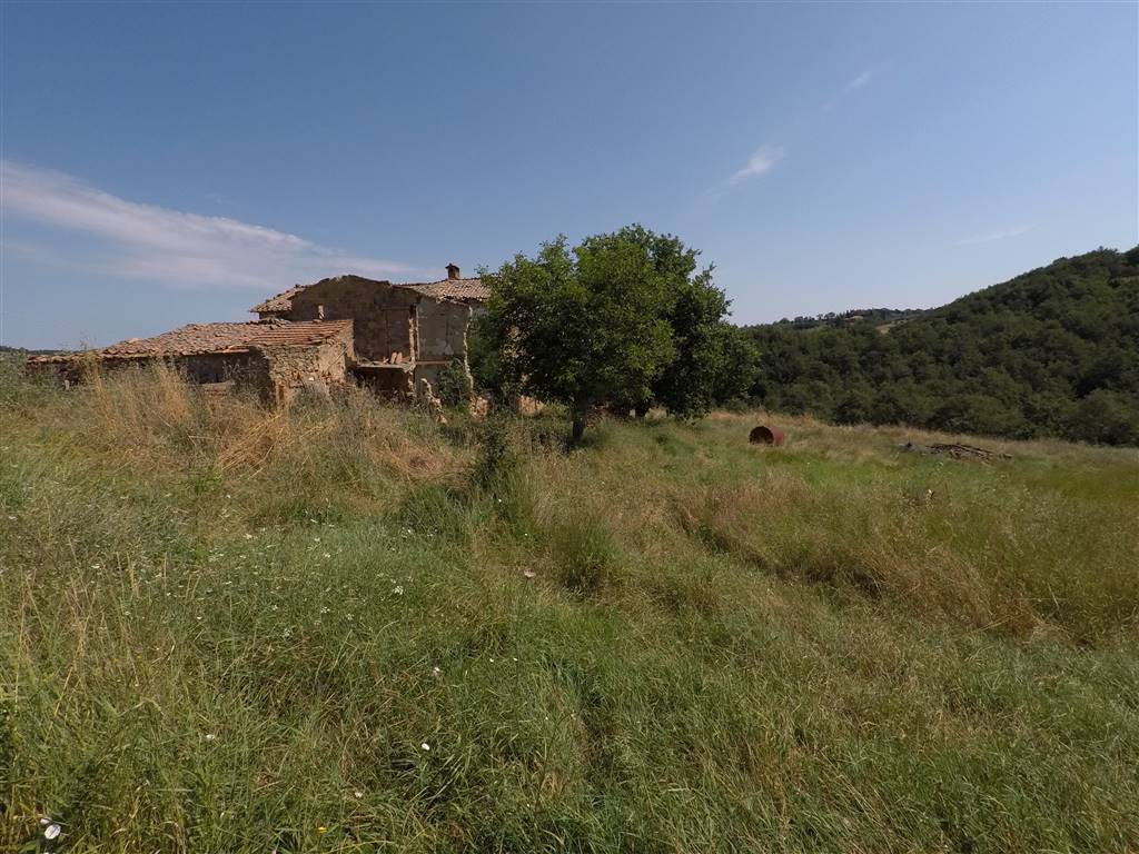 property_image