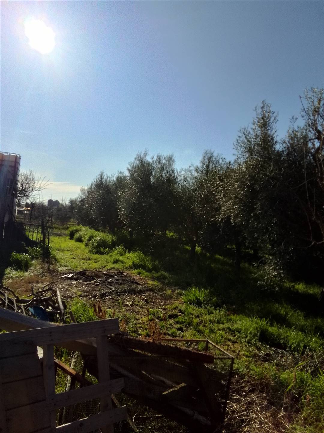 property_image