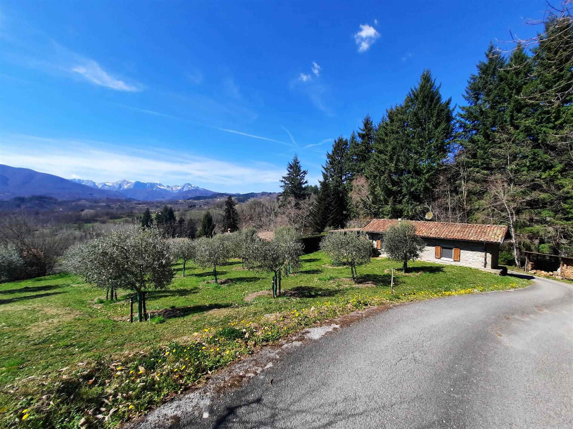 property_image
