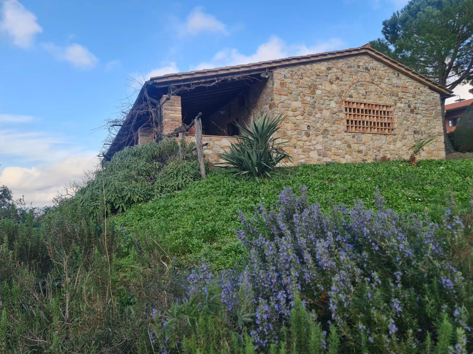 property_image