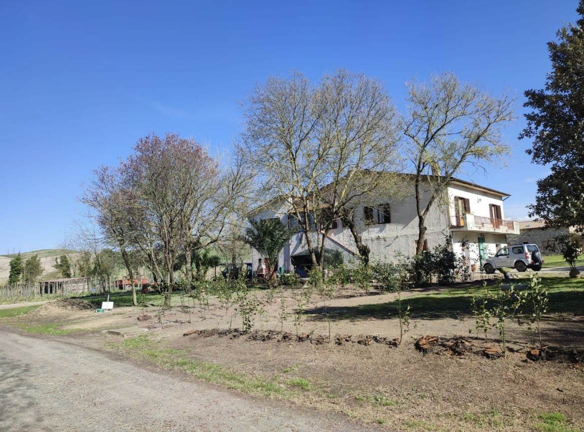 Qlistings - 2 Bedrooms - Farmhouse - Toscana - For Sale - A9591TA2388762A Property Image