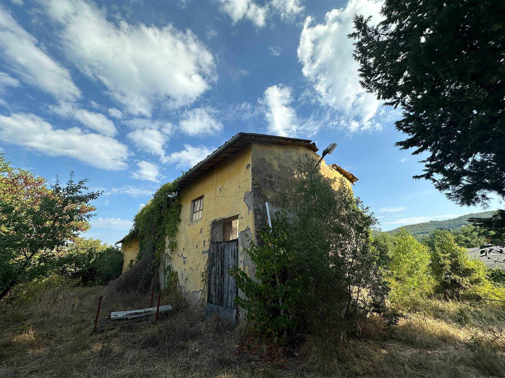Qlistings - 3 Bedrooms - Farmhouse - Toscana - For Sale - A9591MF067 Property Image