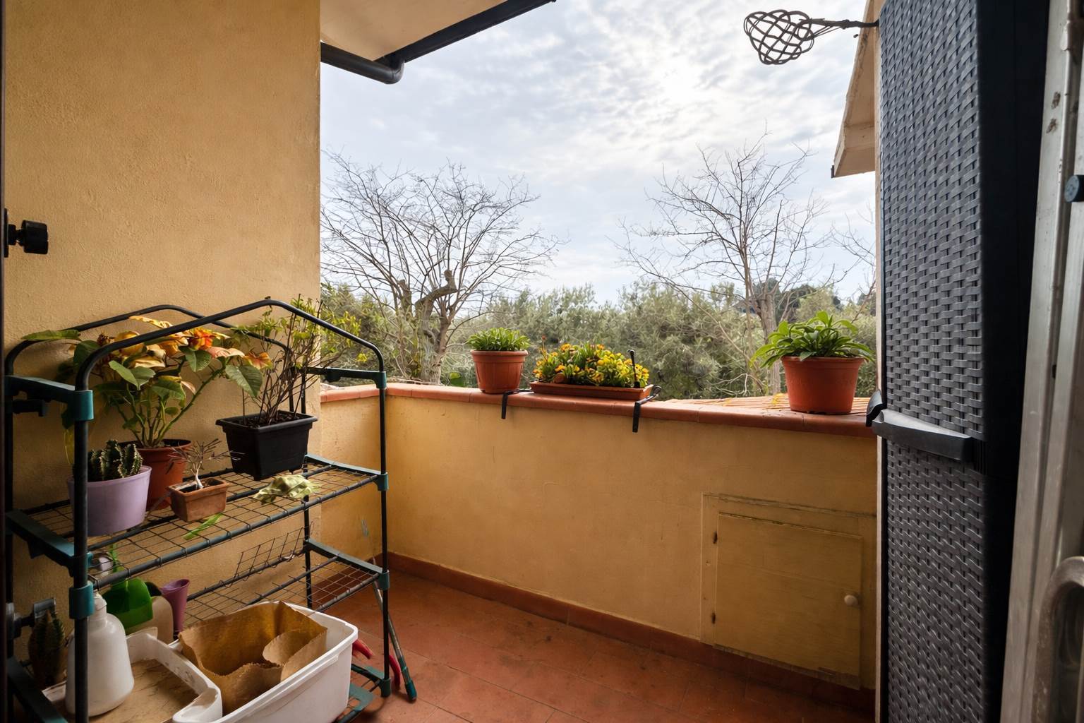 property_image