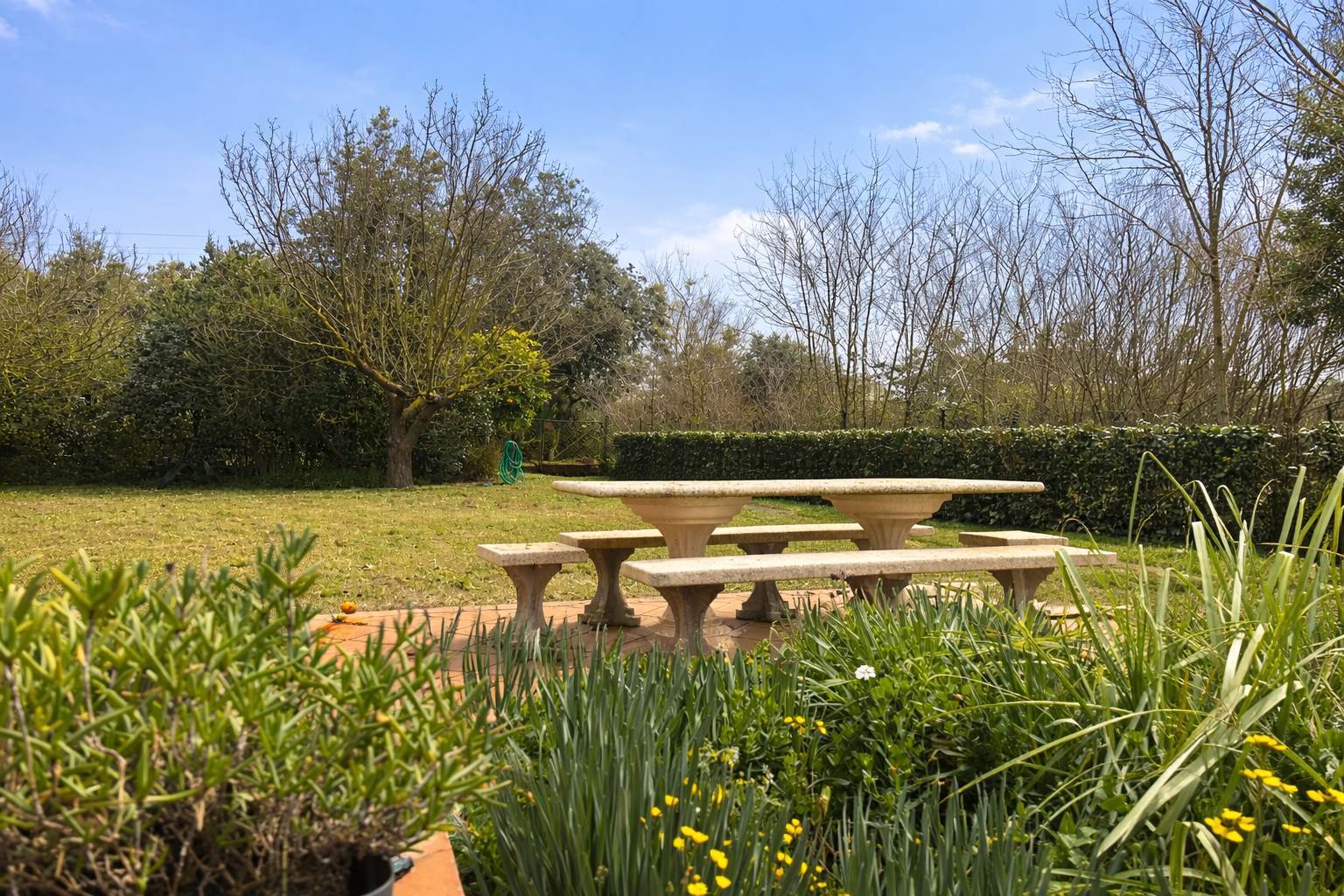 property_image