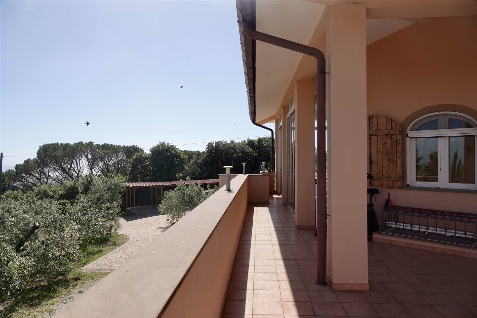 property_image