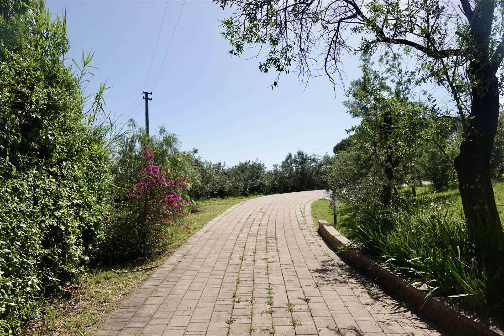 property_image