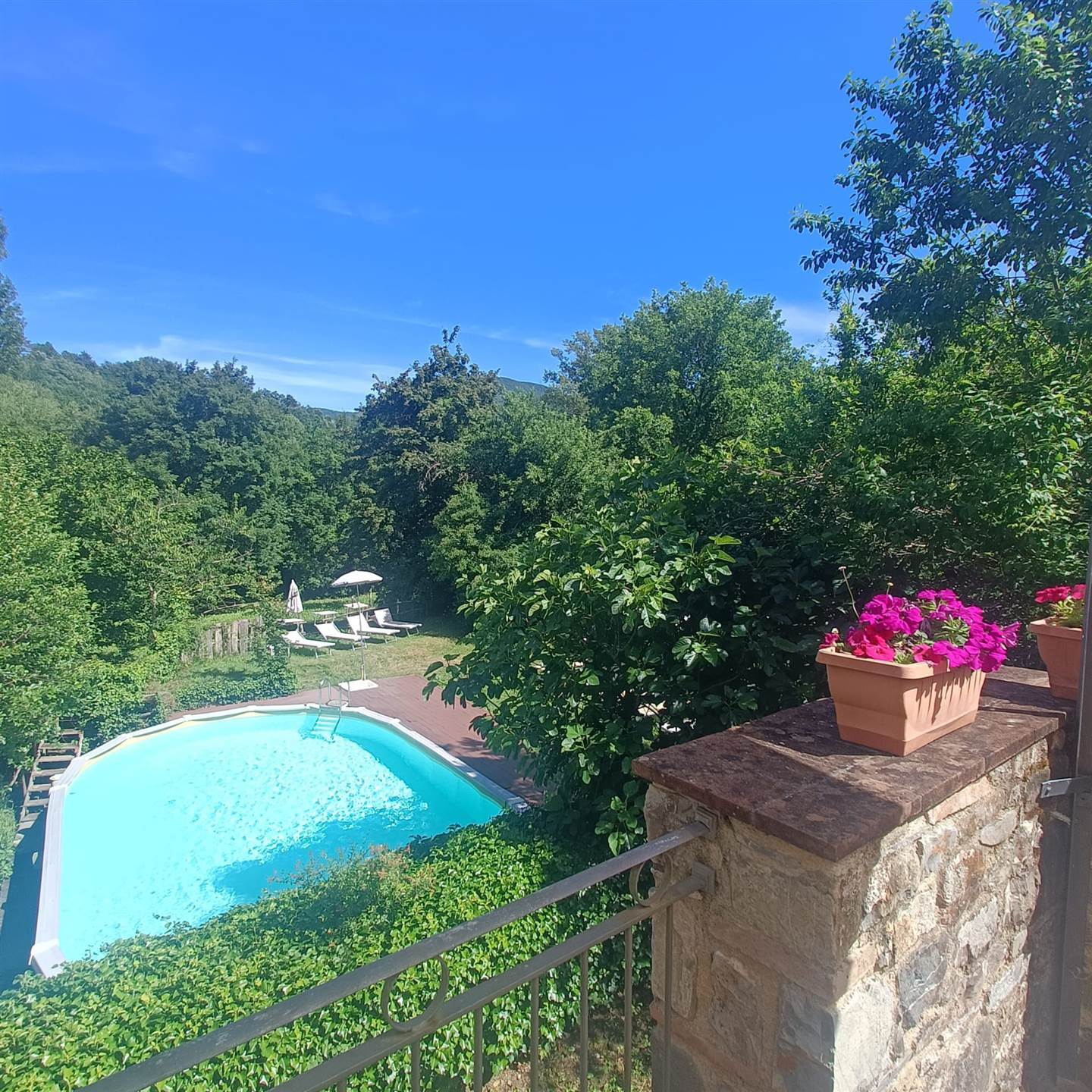 property_image