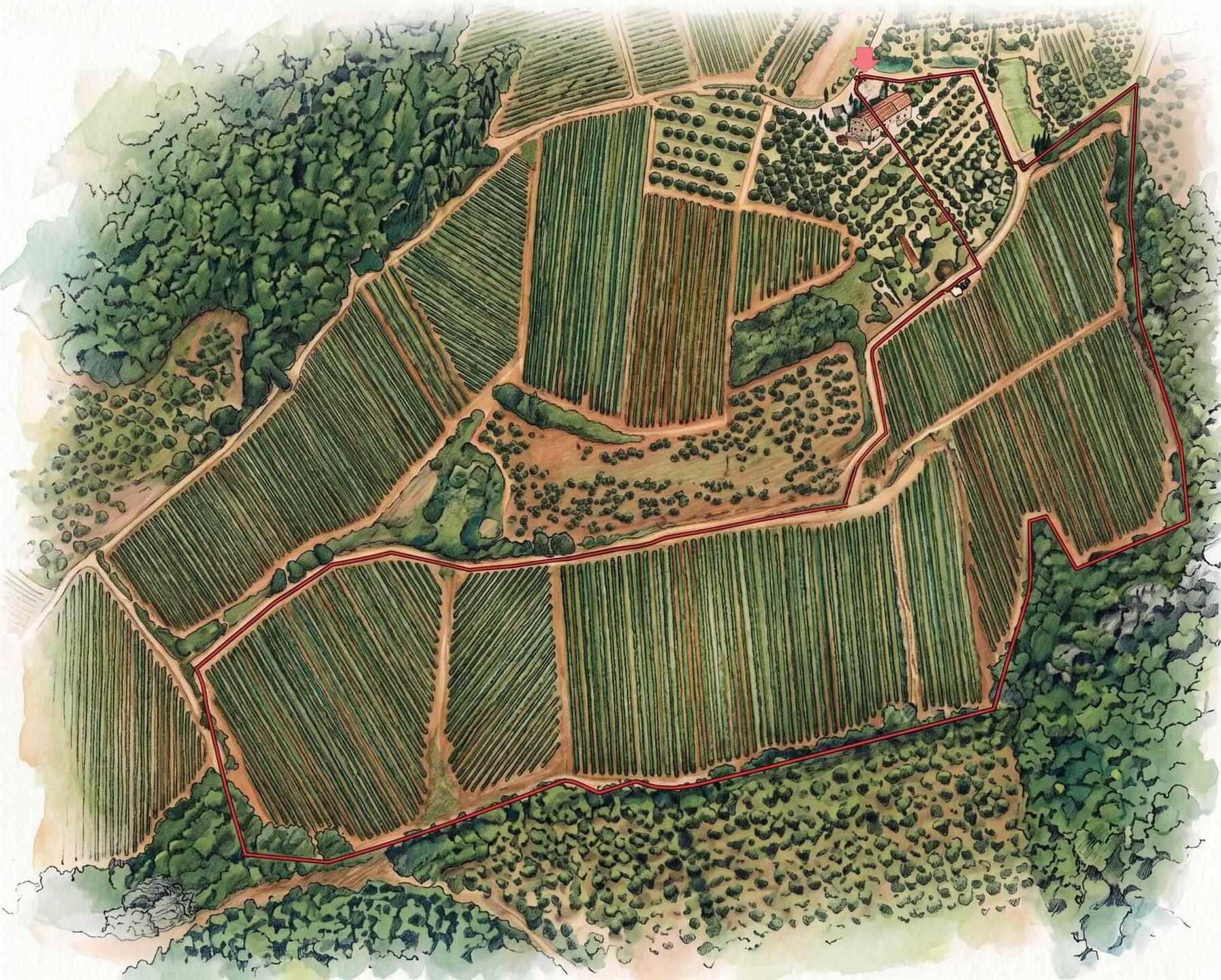 property_image