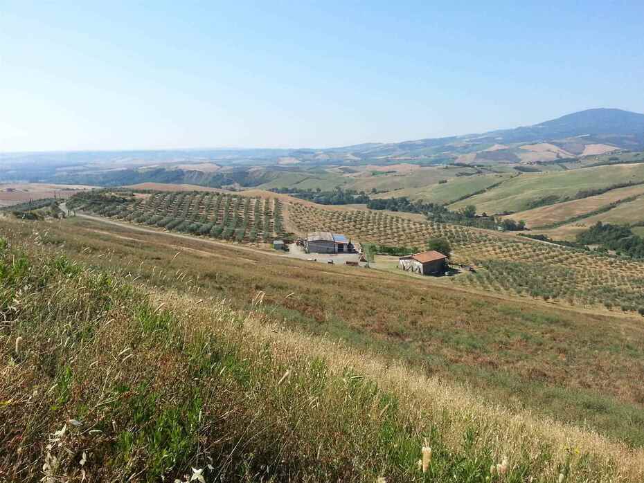 Azienda Agricola Biologica in Vendita a Abbadia San Salvatore, Toscana: Incantevole Tenuta con Oliveto